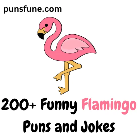 Flamingo Puns