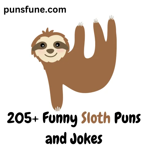 Sloth Puns